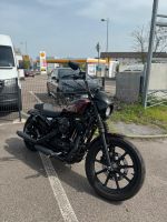 Harley Davidson Sportster Iron NS 1200 Rheinland-Pfalz - Haßloch Vorschau