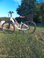 Jeep Trekking E Bike TLR 7011 Niedersachsen - Langlingen Vorschau