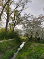 Suche Garten am Colmberg, Tongrube, Holzhausen Leipzig - Connewitz Vorschau