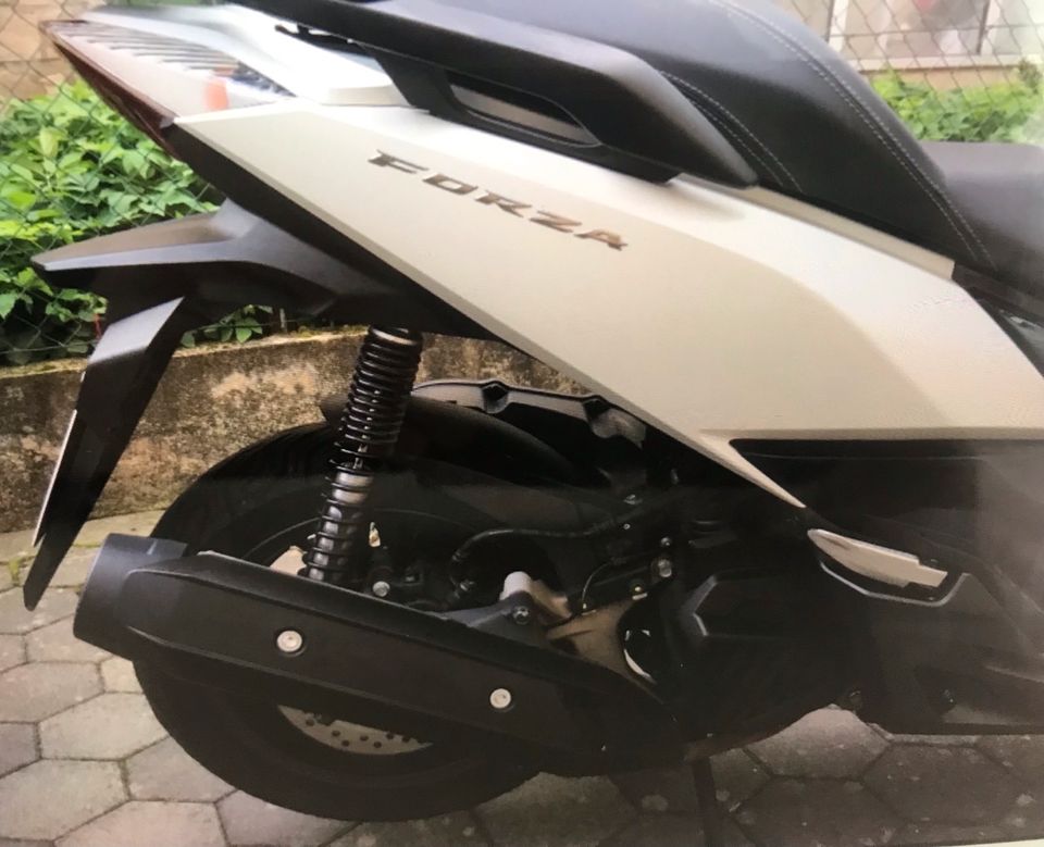 Honda Forza 125 ABS in Osterode am Harz
