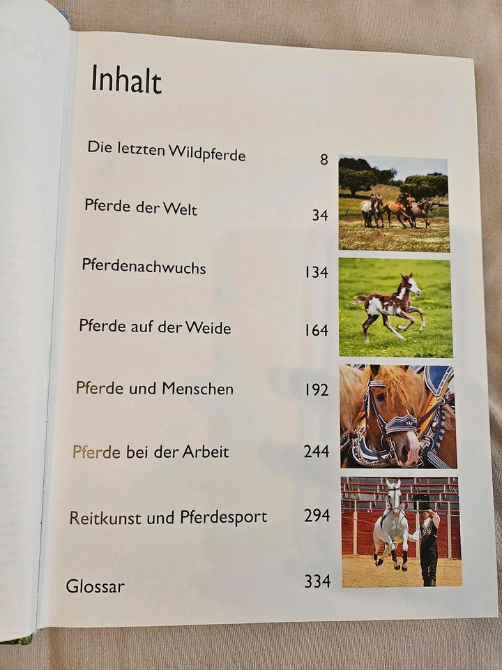 1000 Pferde in Potsdam