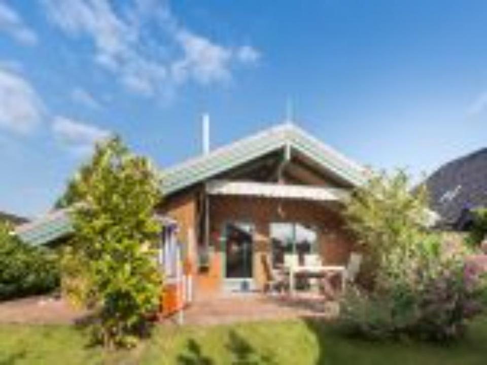 + LAST MINUTE 3.5.-24.5.25 + Urlaub am Meer Ostsee mit Hund + in Kronsgaard