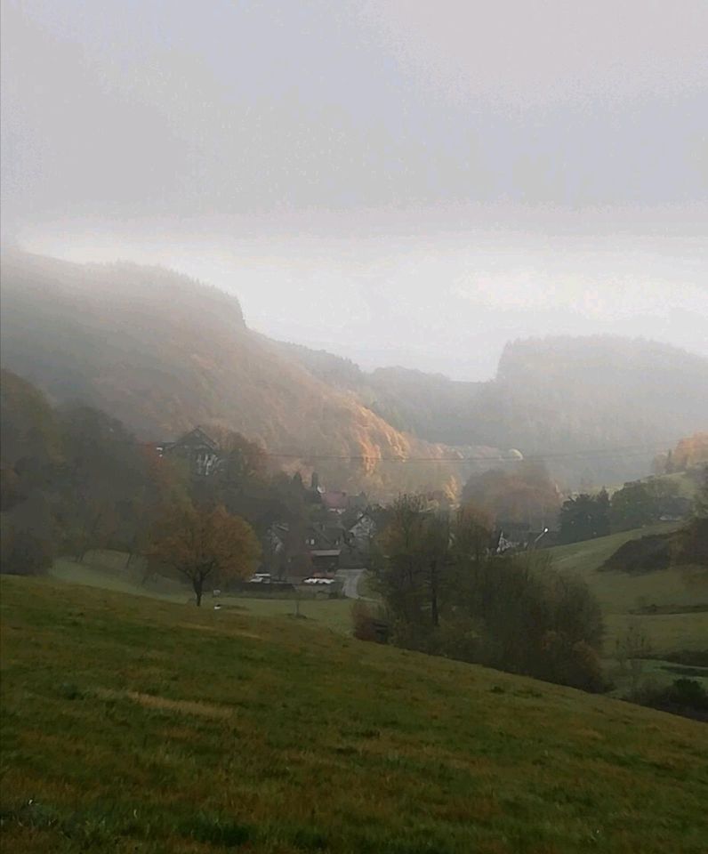 Ferienwohnung Eifel Wandern Traumpfade Nürburgring 2-5 Personen in Pforzheim