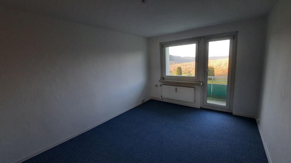 1-Raum Wohnung mit Balkon in Feldberg