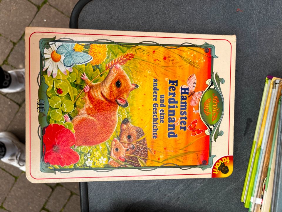 Sammlung Kinderbücher inkl. Janosch Tiger und Bär in Kalefeld