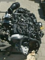 Engine Motor Audi Seat CFHD CFH 65.204KM 2.0 TDI 143PS KOMPLETT Leipzig - Eutritzsch Vorschau