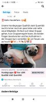 Mitglieder für eine Hundegruppe auf Facebook Nordrhein-Westfalen - Gladbeck Vorschau