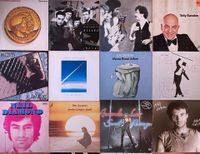 Schallplatten Rock & Pop LPs Vinyl Stück nur 2€! Eimsbüttel - Hamburg Eidelstedt Vorschau