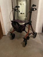 Rollator Assmann Schleswig-Holstein - Lübeck Vorschau