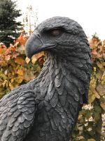 Adler 100kg 106cm Steinadler Seeadler Greifvogel Eagle Harley Baden-Württemberg - Karlsruhe Vorschau