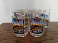 5 x Bierglas Oktoberfest München 2008 neu Hessen - Breuberg Vorschau