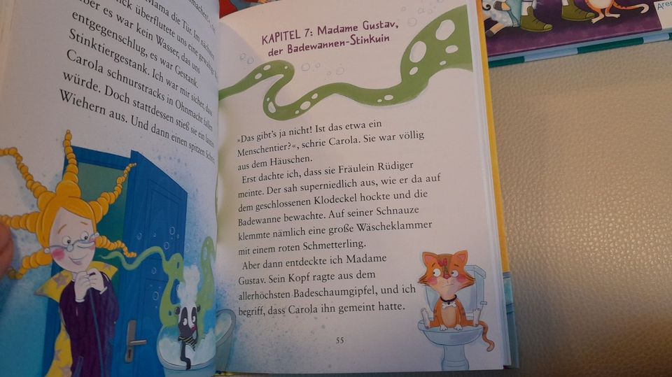 Lilo von Finsterburg Bücher Teil 1-3 von Anna Lott nur im SET in Wittichenau