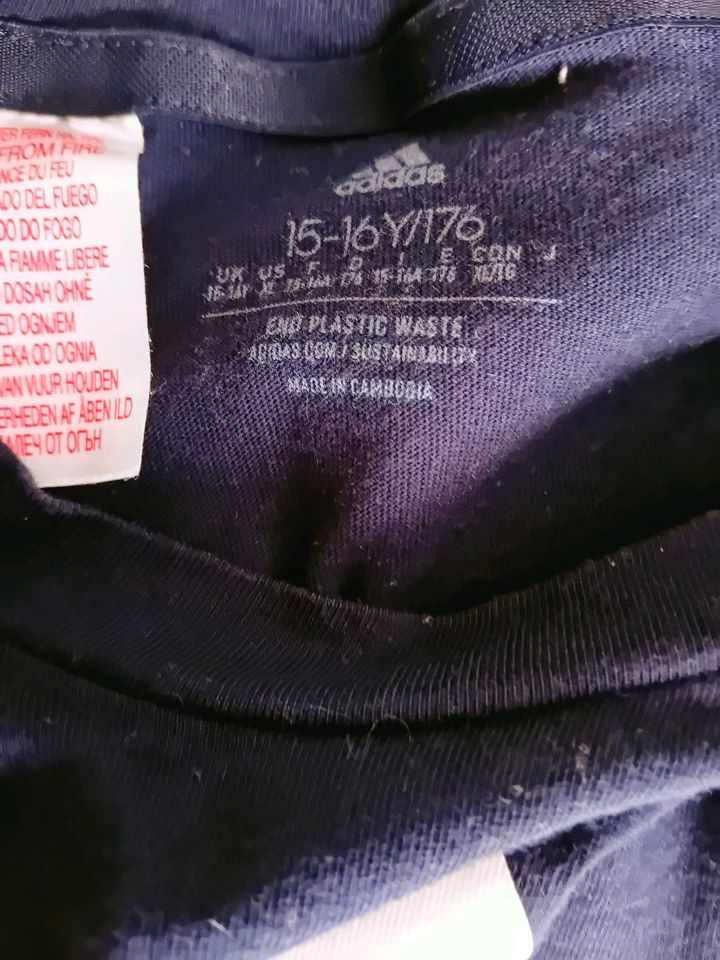 Adidas Jacke + T-shirt in Eberswalde