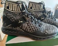 puma ignite evoknit Original Fast wie neu Frankfurt am Main - Nordend Vorschau