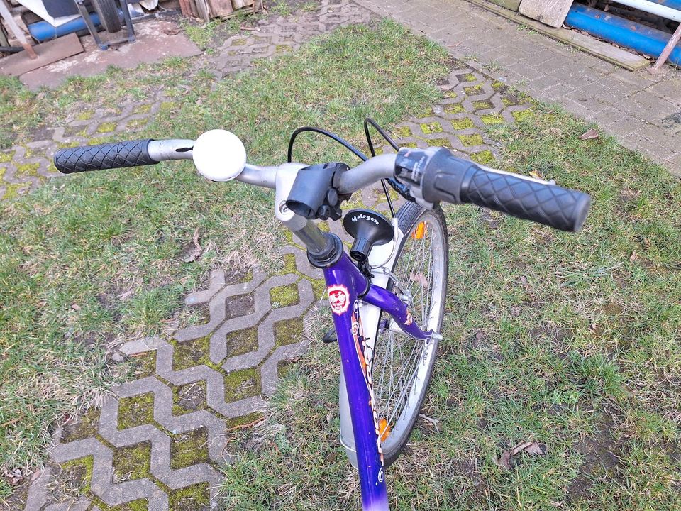 Gebrauchtes 24 ziger Mädchen Fahrrad in Zielitz