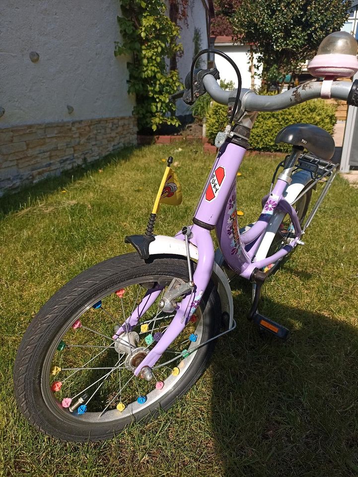 Kinderfahrrad Puky 16 Zoll in Graal-Müritz