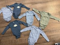 6 Baby Bodys NEU Langarm Body Duisburg - Duisburg-Mitte Vorschau