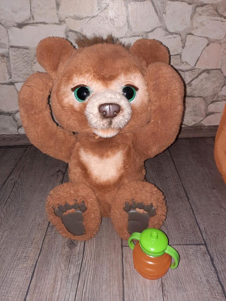 Teddybär mit Geräusch und Bewegung in Ludwigslust - Landkreis - Zarrentin |  Weitere Spielzeug günstig kaufen, gebraucht oder neu | eBay Kleinanzeigen  ist jetzt Kleinanzeigen