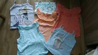 Tops 110/116 H&M T-Shirt Bluse Anna und Elsa Tops Sachsen - Chemnitz Vorschau