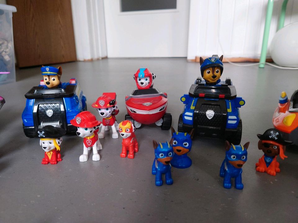 Paw Patrol Sammlung chaos Kätzchen in Halle