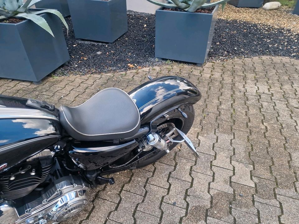 Harley Davidson Sportster 1200 Breitreifen Custombike in Waldenburg