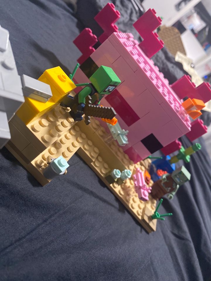 Lego axolotl Set / Haus in Lastrup