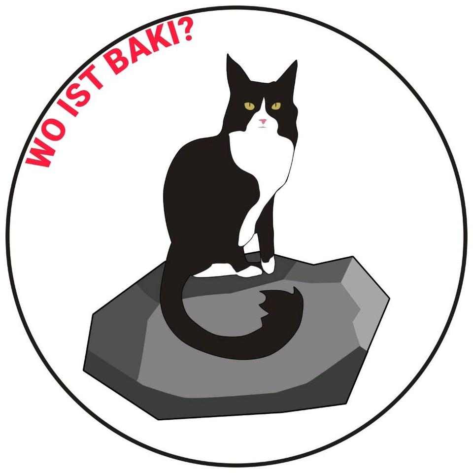 Wo ist Baki? Norwegische Waldkatze/Maine-Coon Kater vermisst in Rosengarten