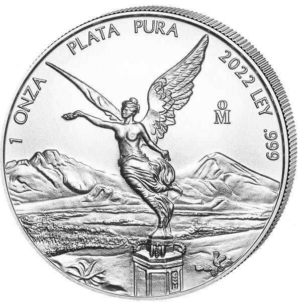 Suche Mexico  Libertad 1 Unze Silber / Silver  2022 in Starnberg