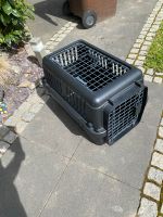 Hunde Transportbox Duisburg - Rumeln-Kaldenhausen Vorschau