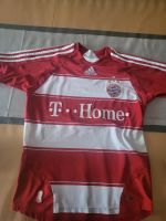 Sportshirt Adidas, FC Bayern Bayern - Affing Vorschau