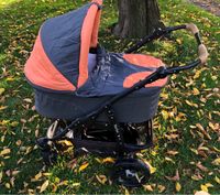 Naturkind Varius Salamander Kinderwagen Buggy Kombi Sachsen - Penig Vorschau