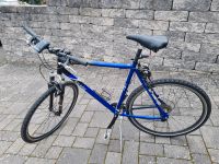 Raleigh Fahrrad Männer Herren 28 Zoll Hessen - Driedorf Vorschau