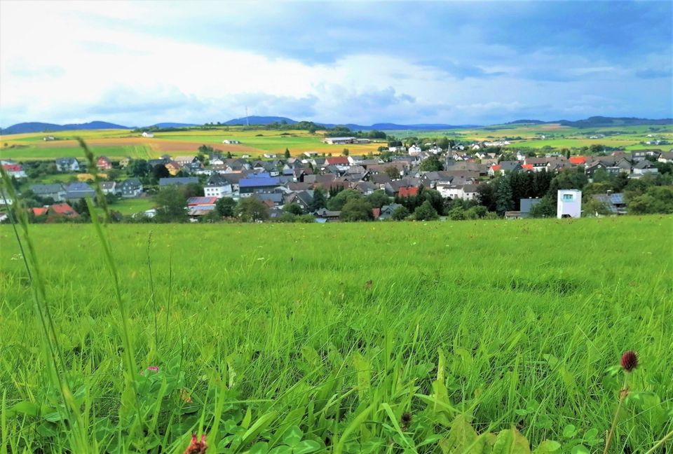 Ferienwohnung Talblick nähe Winterberg, Sauerland in Allendorf