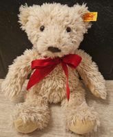 Steiff Kuscheltier Teddybär 28 cm *wie neu* Rheinland-Pfalz - Neustadt an der Weinstraße Vorschau