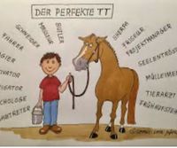 Zuverlässige, liebe Pflegebeteiligung gesucht- Pferd sucht Mensch Niedersachsen - Ehra-Lessien Vorschau
