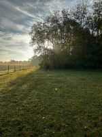 Offenstallplatz Bayern - Schwarzach am Main Vorschau