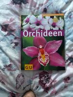 Orchideen GU Bayern - Warmensteinach Vorschau