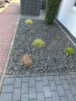 Steine aus dem Vorgarten Rheinland-Pfalz - Grünstadt Vorschau