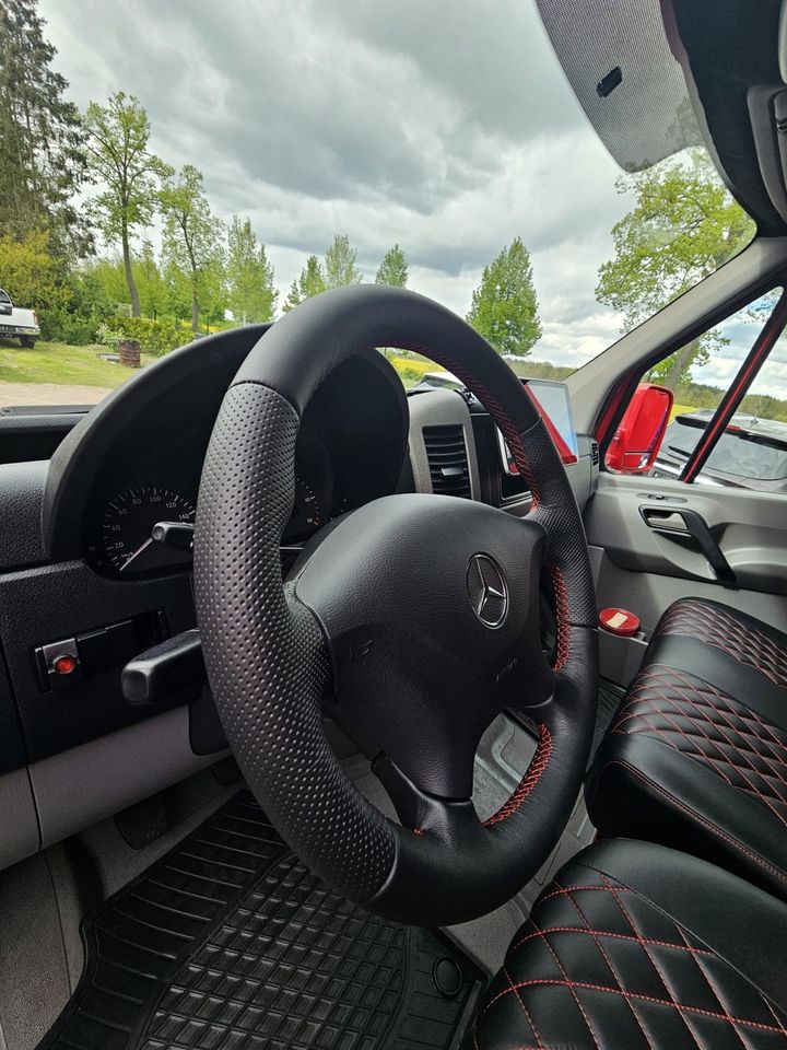 Mercedes Benz Sprinter Pferdetransporter Steinsberger Aufbau in Kremmen