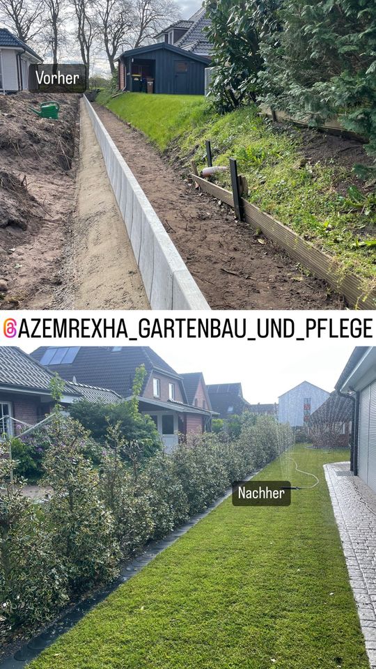 Rollrasen Verlegung -Freie Termine  | Gartenbau | in Halstenbek