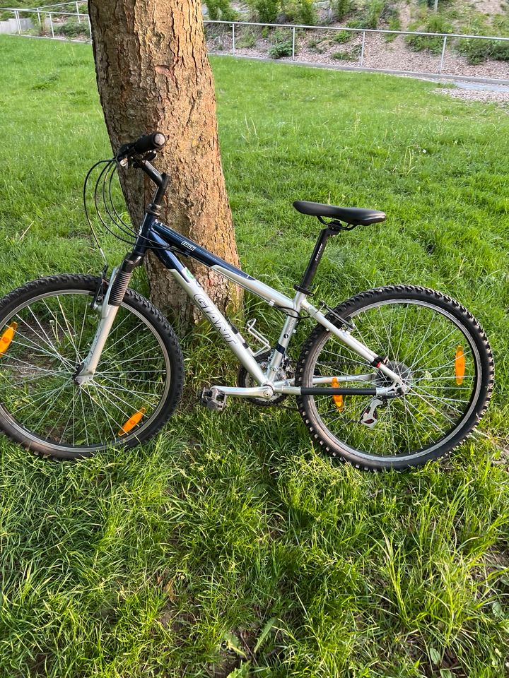 Bike 26 Zoll in Hof (Saale)