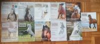 Pferdebücher, Reitkultur, Natural Horse, Anja Beran, Bent Brander Niedersachsen - Oldenburg Vorschau