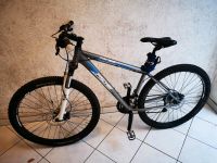 Fischer Mountainbike MTB FM 1513 29" Zoll 21 Gang Köln - Nippes Vorschau