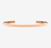 Daniel Wellington Armband Classic Bracelet roségold neu S Sachsen-Anhalt - Hohenmölsen Vorschau