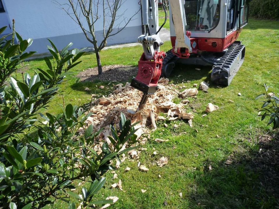 Minibagger mit Fahrer hat noch Termine frei Bagger und Radlader in Manching