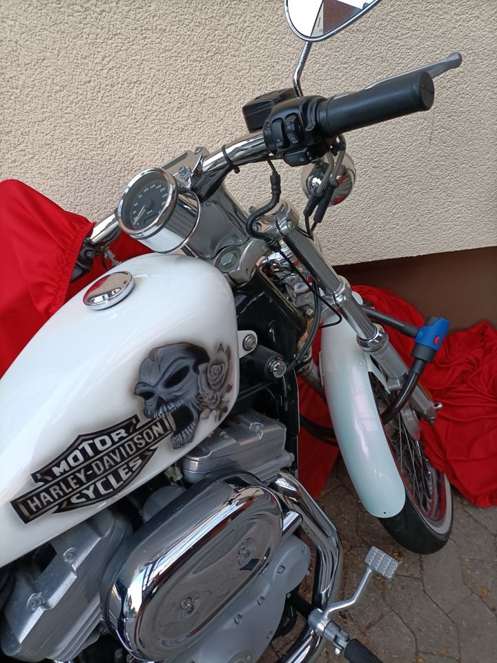Harley Davidson Sportster 883ccm sehr guter  Zustand Vergaser in Weidenbach