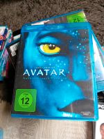 Avatar Blue Ray Niedersachsen - Salzhemmendorf Vorschau