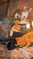 Original Katzen Sammelteller Die Spielkameraden von Seltmann Weid Walle - Handelshäfen Vorschau