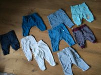 Kleidungspaket: Baby Hosen Gr. 62 Berlin - Neukölln Vorschau