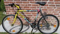 CAT M1 Mountainbike (Klassiker Made in Germany) Schleswig-Holstein - Itzstedt Vorschau